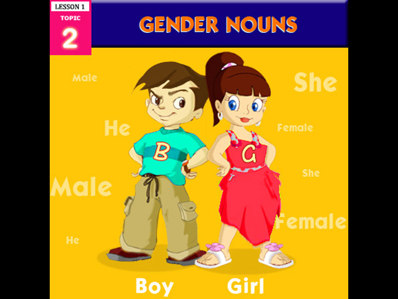 Noun Gender Chart