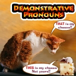 Demonstrative pronouns