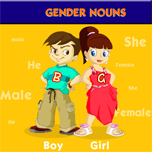 Gender nouns